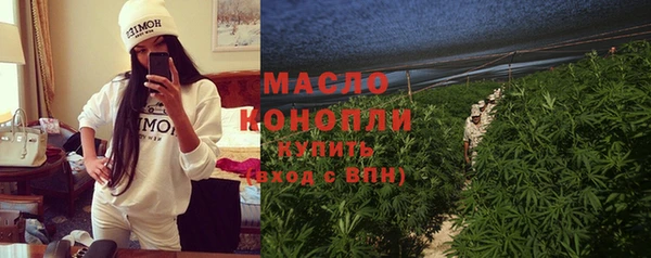 твердый Надым