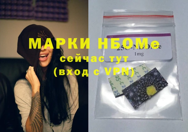 твердый Надым