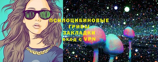 твердый Надым