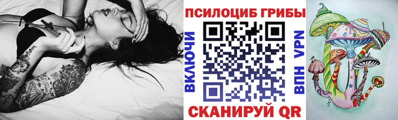 Галлюциногенные грибы прущие грибы  Купить закладки  Питкяранта 