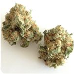 Шишки "White Widow"  (Белая вдова)  Гидропоника -  Бошка VHQ в Питкяранте